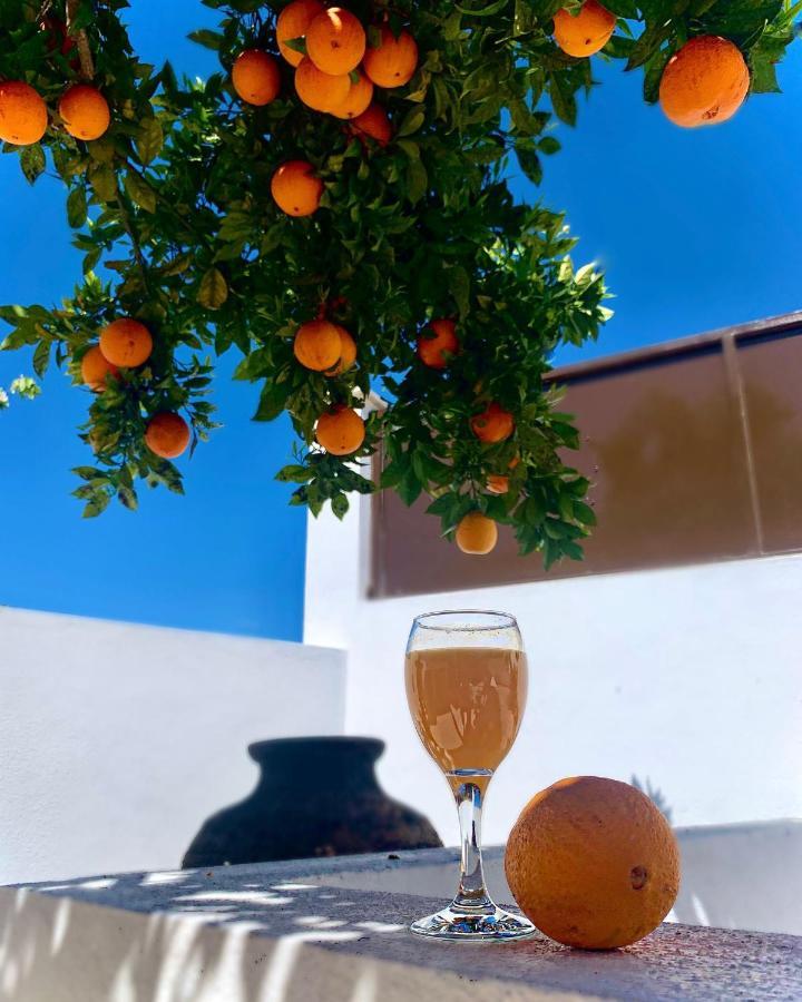 Bed and Breakfast Casa Da Oliveira Педроган-Гранди Экстерьер фото