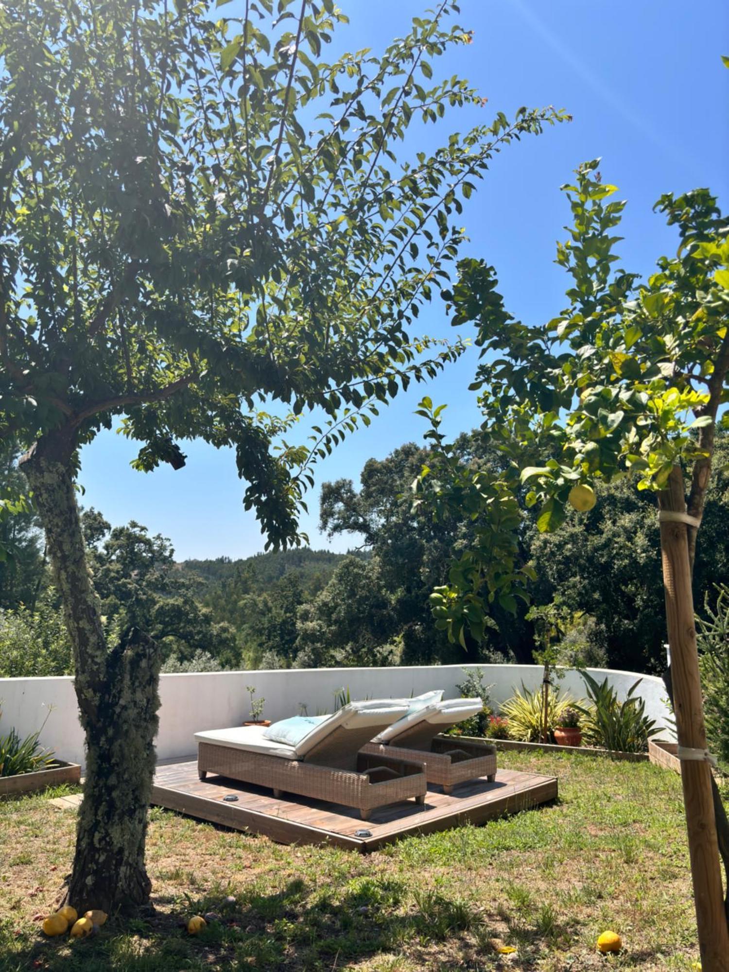 Bed and Breakfast Casa Da Oliveira Педроган-Гранди Экстерьер фото