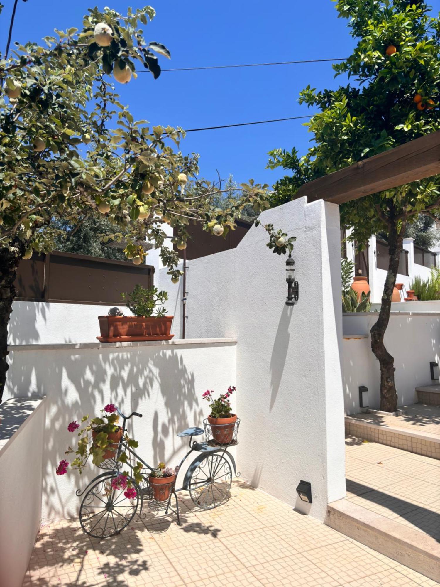 Bed and Breakfast Casa Da Oliveira Педроган-Гранди Экстерьер фото