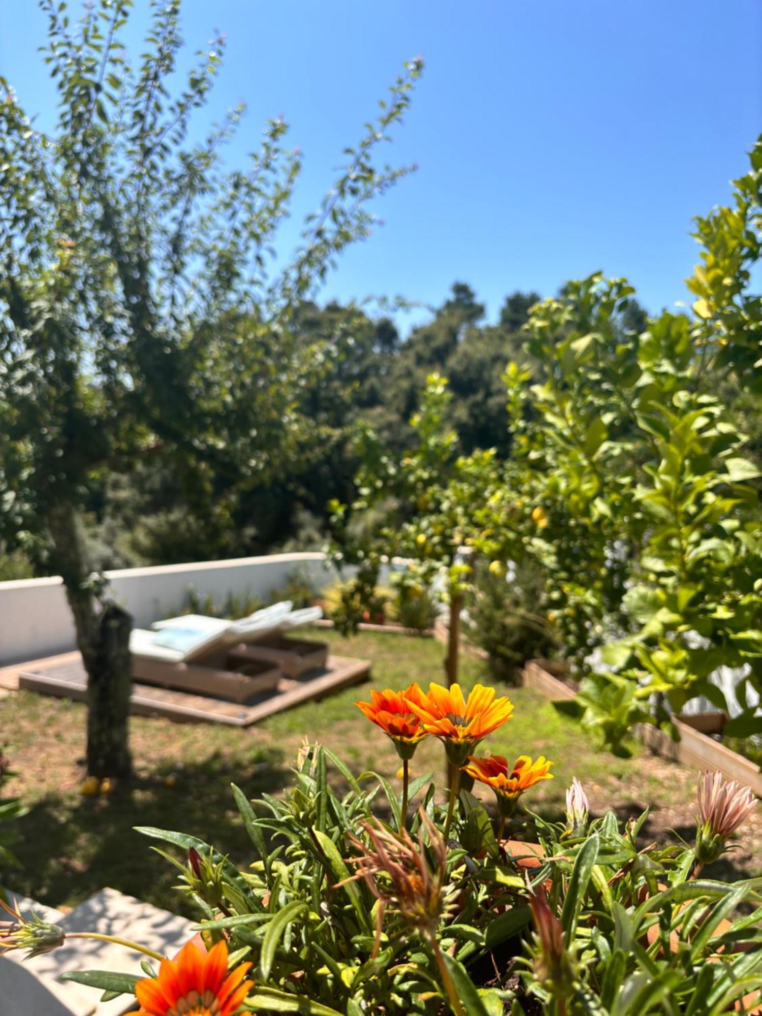 Bed and Breakfast Casa Da Oliveira Педроган-Гранди Экстерьер фото